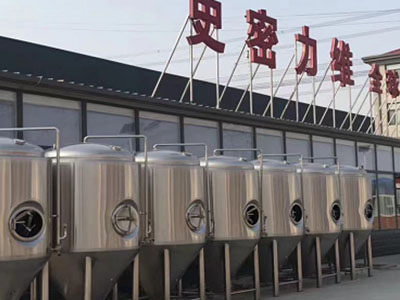 离石精酿啤酒设备厂—如何判断精酿啤酒设备的密封件需要更换？